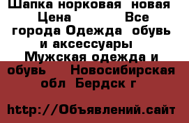 Шапка норковая, новая › Цена ­ 5 000 - Все города Одежда, обувь и аксессуары » Мужская одежда и обувь   . Новосибирская обл.,Бердск г.